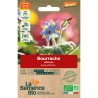 BOURRACHE OFFICINALE - Graines BIO | La Semence Bio | Graines et Bio