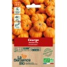 MINI COURGE JACK BE LITTLE - Graines BIO | La Semence Bio | Graines et Bio