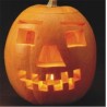 COURGE JACK O'LANTERN - Graines BIO | La Semence Bio | Graines et Bio