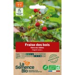 FRAISE DES BOIS Reine des Vallées - Graines BIO | La Semence Bio | Graines et Bio