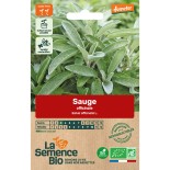 SAUGE - Graines BIO | La Semence Bio | Graines et Bio
