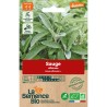 SAUGE - Graines BIO | La Semence Bio | Graines et Bio SAUGE - Graines BIO | La Semence Bio | Graines et Bio