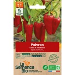 POIVRON CORNO DI TORO Rosso - Graines BIO | La Semence Bio | Graines et Bio