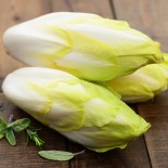 🌿 Graines d'ENDIVE - ENDIVE Tardivo - Graines BIO