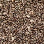 CHIA à semer - Graines BIO | KOKOPELLI | Graines et Bio