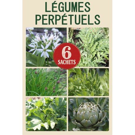 PACK "Les Légumes Perpétuels" - Graines Bio |  | Graines et Bio
