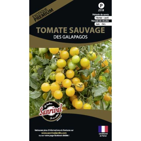 TOMATE SAUVAGE DES GALAPAGOS - Graines PREMIUM non traitées | SANRIVAL | Graines et Bio
