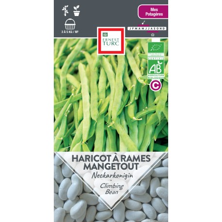HARICOT À RAMES Neckarkonigin - Graines BIO | Ernest Turc | Graines et Bio