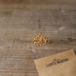 AUBERGINES RONDES: 3 variétés en Mélange - Graines BIO | Ferme de Sainte Marthe | Graines et Bio