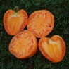 TOMATE COEUR DE BOEUF Orange - Graines BIO | KOKOPELLI | Graines et Bio