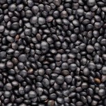 LENTILLE NOIRE Beluga -...