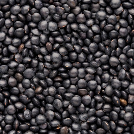 LENTILLE NOIRE Beluga - Graines BIO | Sativa | Graines et Bio