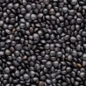 LENTILLE NOIRE Beluga - Graines BIO | Sativa | Graines et Bio
