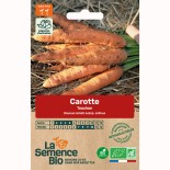CAROTTE TOUCHON - Graines BIO | La Semence Bio | Graines et Bio