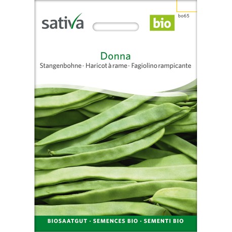 HARICOT PLAT À RAME Donna - Graines BIO | Sativa | Graines et Bio