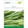 HARICOT PLAT À RAMES Donna - Graines BIO | Sativa | Graines et Bio