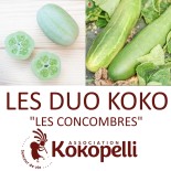 🥒 Graines de CONCOMBRE - CONCOMBRES - DUO Kokopelli - Graines BIO