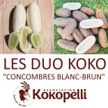 🥒 Graines de CONCOMBRE - CONCOMBRES BLANC-BRUN - DUO Kokopelli - Graines BIO