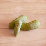CORNICHON SALT AND PEPPER - Graines BIO | KOKOPELLI | Graines et Bio