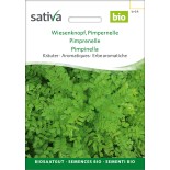 PIMPRENELLE  - Graines BIO | Sativa | Graines et Bio