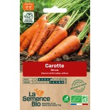 CAROTTE DE LUC - Graines BIO | La Semence Bio | Graines et Bio