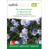 LIN BLEU Engrais Vert - Graines BIO | Sativa | Graines et Bio