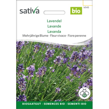 LAVANDE ou Lavandula Angustifolia - Graines BIO | Sativa | Graines et Bio