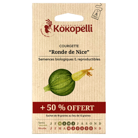 COURGETTE RONDE DE NICE + 50 % - Graines BIO | KOKOPELLI | Graines et Bio