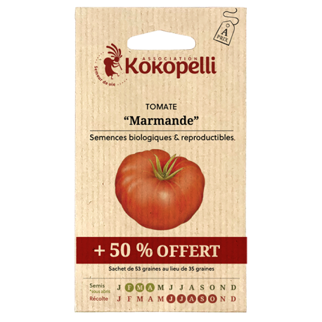TOMATE MARMANDE + 50 % - Graines BIO | KOKOPELLI | Graines et Bio