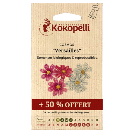 COSMOS Versailles + 50% - Graines BIO | KOKOPELLI | Graines et Bio