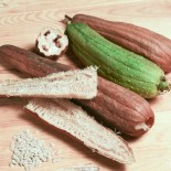 🎃 Graines de COURGE - LUFFA ÉPONGE VÉGÉTALE à Graines Blanches - Graines BIO