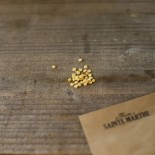 PIMENT DOUX VÉGÉTARIEN - Graines BIO | Ferme de Sainte Marthe | Graines et Bio