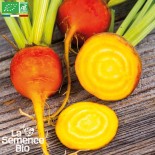 BETTERAVES en MÉLANGE 4 variétés - Graines BIO | La Semence Bio | Graines et Bio