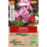 COSMOS SENSATION en Mélange - Graines BIO | La Semence Bio | Graines et Bio