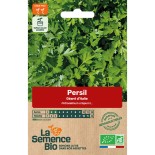 PERSIL GÉANT D'ITALIE - Graines BIO | La Semence Bio | Graines et Bio