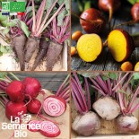 🌱 Graines de BETTERAVE - BETTERAVES en MÉLANGE 4 variétés - Graines BIO