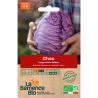 CHOU CABUS ROUGE Kalibos - Graines BIO | La Semence Bio | Graines et Bio