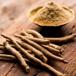 ASHWAGANDHA ou GINSENG INDIEN - Graines BIO | Ferme de Sainte Marthe | Graines et Bio