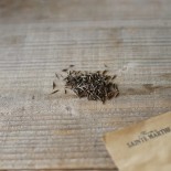 COSMOS Fizzy Rose - Graines BIO | Ferme de Sainte Marthe | Graines et Bio