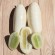 CONCOMBRE DEMI-LONG BLANC - Graines BIO