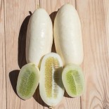 CONCOMBRE DEMI-LONG BLANC - Graines BIO | KOKOPELLI | Graines et Bio