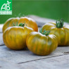 GROSSES TOMATES en MÉLANGE - Graines BIO | Ferme de Sainte Marthe | Graines et Bio