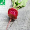 BETTERAVE CHIOGGIA - Graines BIO | Ferme de Sainte Marthe | Graines et Bio