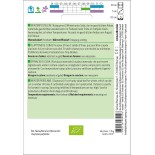 CLAYTONE DE CUBA ou POURPIER d'HIVER - Graines BIO | Sativa | Graines et Bio