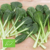 CHOU PAK CHOÏ CHINOIS Tatsoi - Graines BIO | Ferme de Sainte Marthe | Graines et Bio