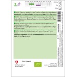 PETIT POIS Grain Rond "Rapid" - Graines BIO | Sativa | Graines et Bio