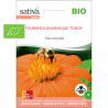TOURNESOL du MEXIQUE - Graines BIO | Sativa | Graines et Bio