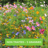 FLEURS MIEL et PAPILLONS (5 grammes) - Graines en mélange | Ferme de Sainte Marthe | Graines et Bio