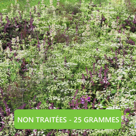 Mélange ANTI-MOUSTIQUE (25 grammes) - Graines non traitées | Ferme de Sainte Marthe | Graines et Bio