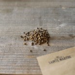 BETTERAVE CHIOGGIA - Graines BIO | Ferme de Sainte Marthe | Graines et Bio